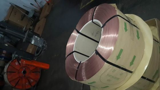 バイクのための青銅色の上塗を施してあるビード ワイヤー鋼鉄